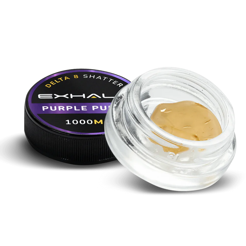 SHATTER - PURPLE PUNCH